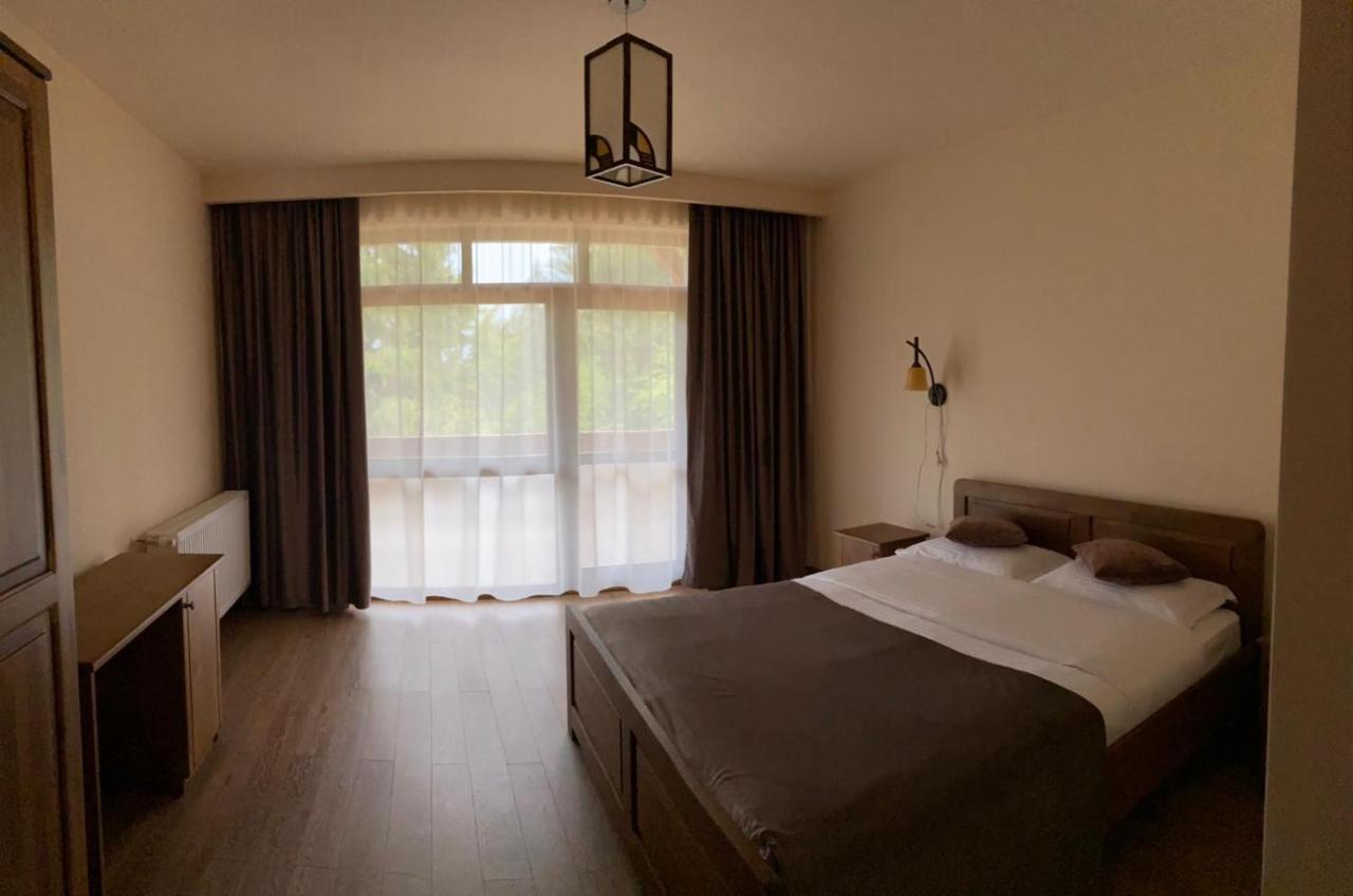 Pensiunea Bradul Dealu Stefanitei 外观 照片