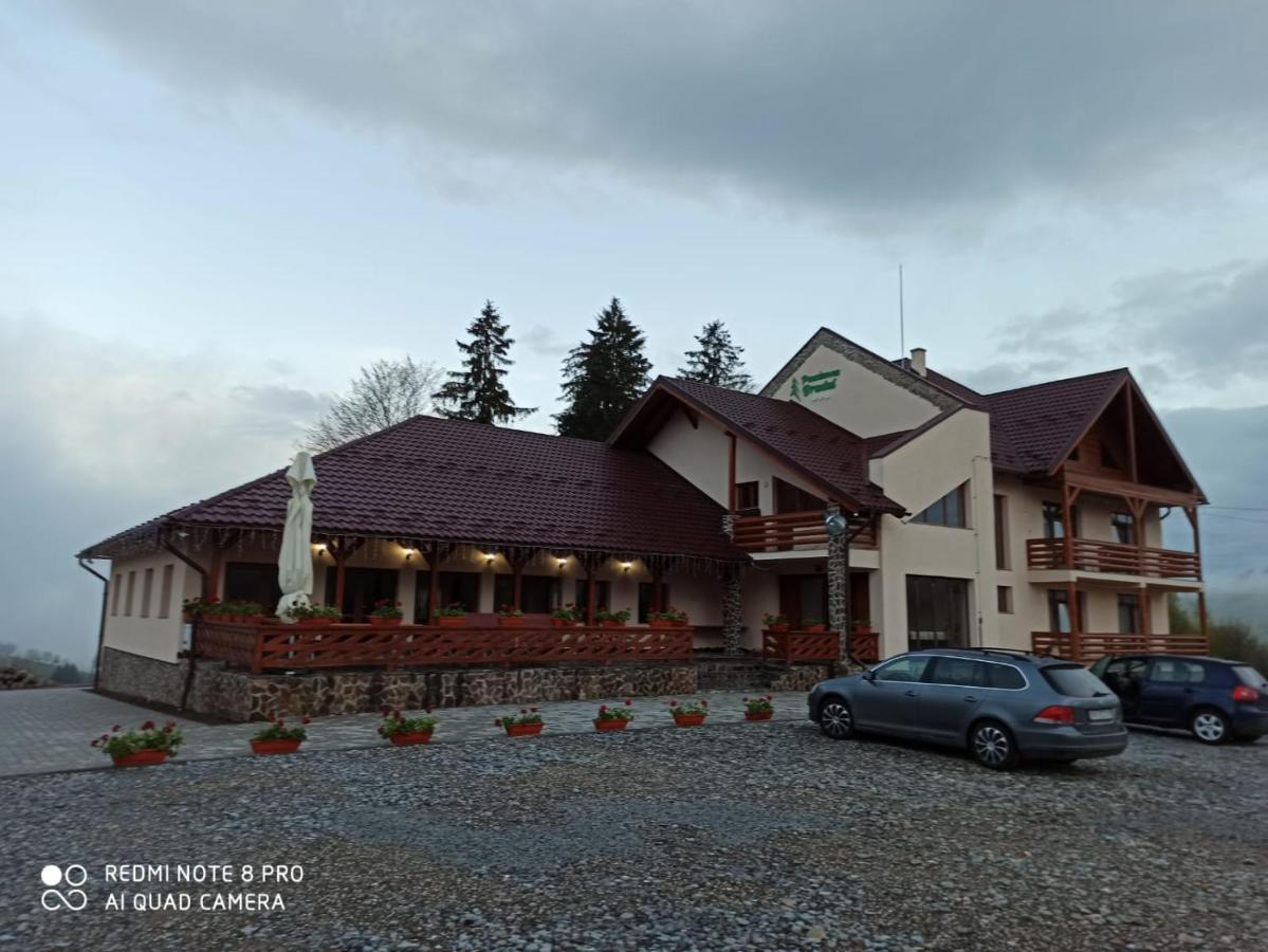 Pensiunea Bradul Dealu Stefanitei 外观 照片